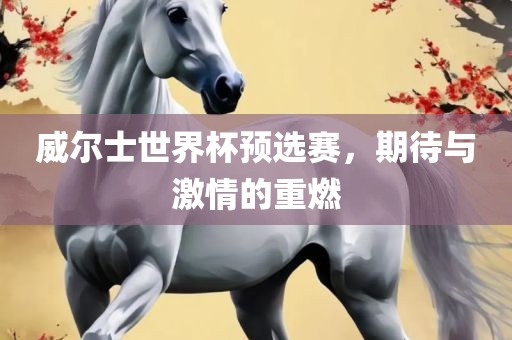 威尔士世界杯预选赛，期待与激情的重燃眉山市正发家政服务有限公司