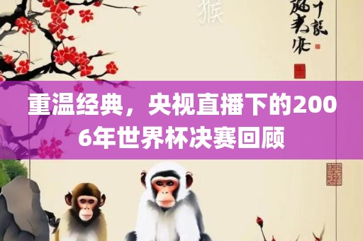 重温经典，央视直播下的2006年世界杯决赛回顾