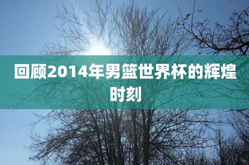 回顾2014年男篮世界杯的辉煌时刻眉山市正发家政服务有限公司
