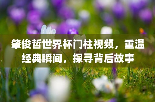 肇俊哲世界杯门柱视频，重温经典瞬间，探寻背后故事