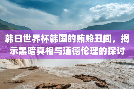 韩日世界杯韩国的贿赂丑闻，揭示黑暗真相与眉山市正发家政服务有限公司道德伦理的探讨