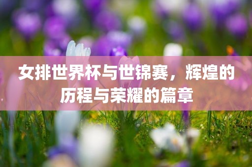 女排世界杯与世锦赛，辉煌的历程与荣耀的篇章眉山市正发家政服务有限公司