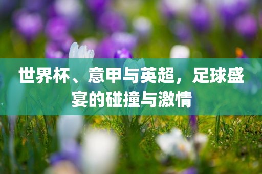 世界杯、意甲与英超，足球眉山市正发家政服务有限公司盛宴的碰撞与激情