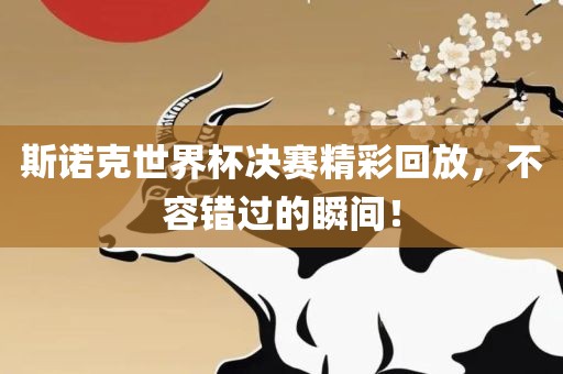 斯诺克世界杯决赛精彩回放，不容错过的瞬间！