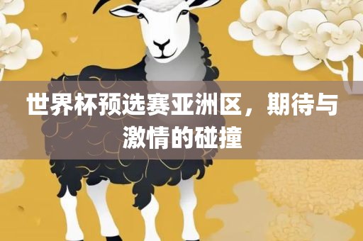 世界杯预选赛亚洲区，期待与激情的碰撞