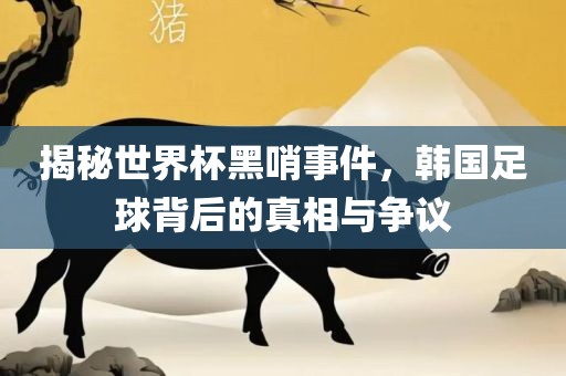 揭秘世界杯黑哨事件，韩国足球背后的真相与争议