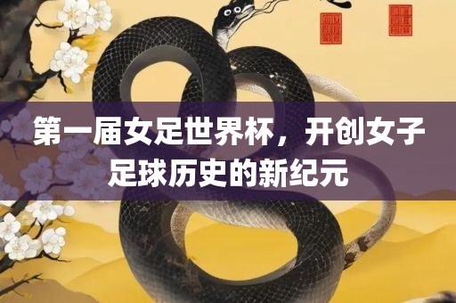 第一届女足世界杯，开创女子足球历史的新纪眉山市正发家政服务有限公司元