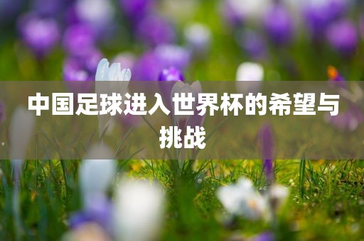 中国足球进入眉山市正发家政服务有限公司世界杯的希望与挑战