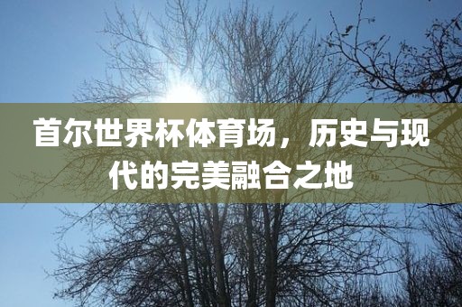 首尔世界杯体育场，历史与现代的完美融合之地眉山市正发家政服务有限公司
