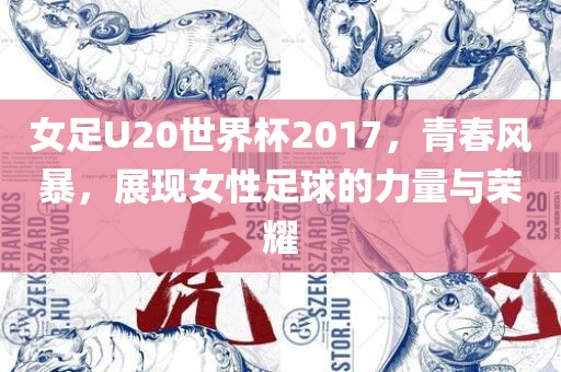 女足U20世界杯2017，青春风暴，展现女性足球的力量与荣耀眉山市正发家政服务有限公司