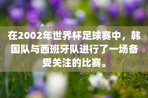 在2002年世界杯足球赛中，韩国队与西班牙队进行了一场备受关注的比赛。