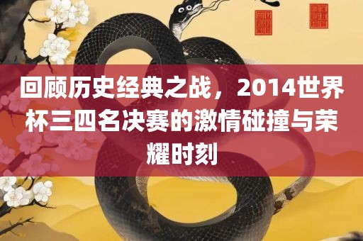 回顾历史经典之战，2014世界杯三四名决赛眉山市正发家政服务有限公司的激情碰撞与荣耀时刻