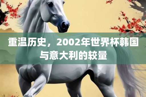 重温历史，2002年世界杯韩国与意大利的较量