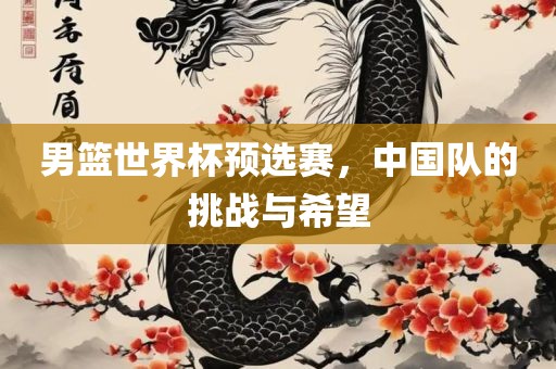 男篮世界杯预选赛，中国队的挑战与希望