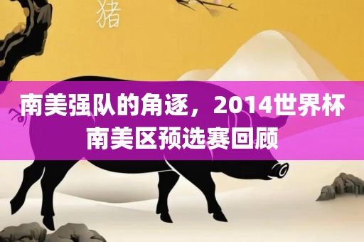 南美强队的角逐，2014世界杯南美区预选赛回顾