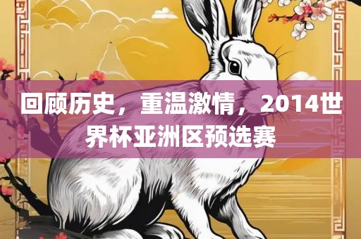 回顾历史，重温激情，2014世界杯亚洲区预选赛