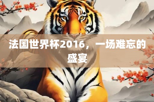 法国世界杯2016，一场难忘的盛宴