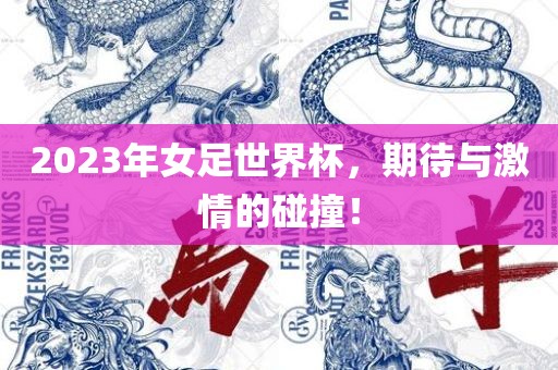 2023年女足世界杯，期待与激情的碰撞！