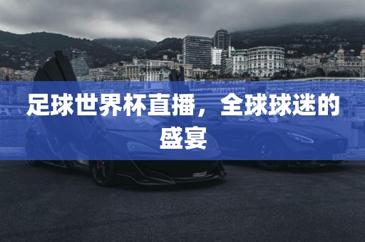 足球世界杯直播，全球球迷的盛宴