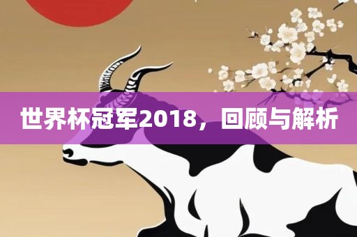 世界杯冠军2018，回顾与解析