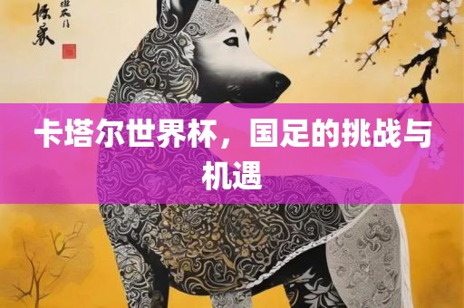 卡塔尔世界杯，国足的挑战与机眉山市正发家政服务有限公司遇