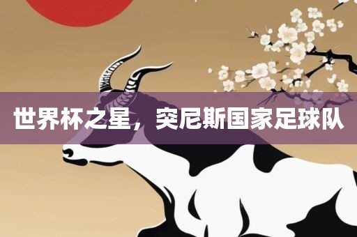 世界杯之星，突尼斯国家足球队