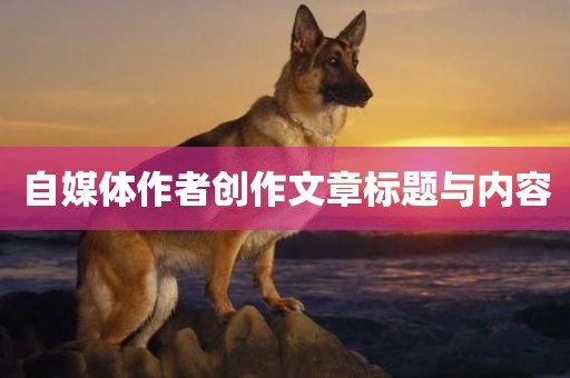 自媒体作者创作文章标题与内容眉山市正发家政服务有限公司