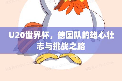 U20世界杯，德国队的雄心壮志与挑战之路
