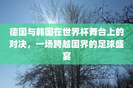 德国与韩国在世界杯舞台上的对决，一场跨越国界的足球盛宴