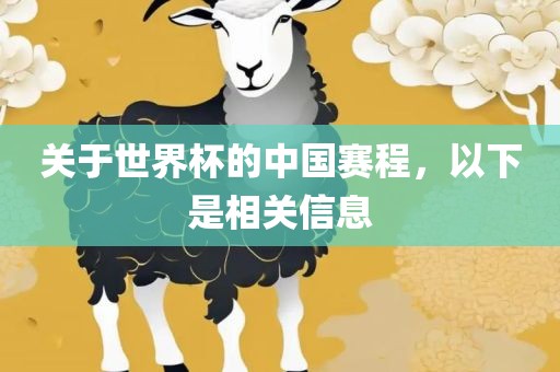 中国赛程