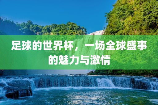 足球的世界杯，一场全球盛事的魅力与激情眉山市正发家政服务有限公司