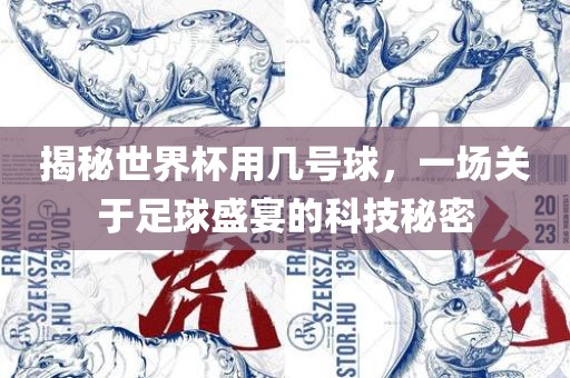 揭秘世界杯用几号球，一场关于足球盛宴的科技秘密