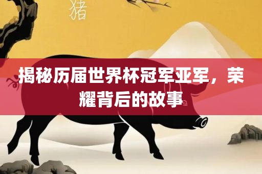 揭秘历届世界杯冠军亚军，荣耀背后的故事