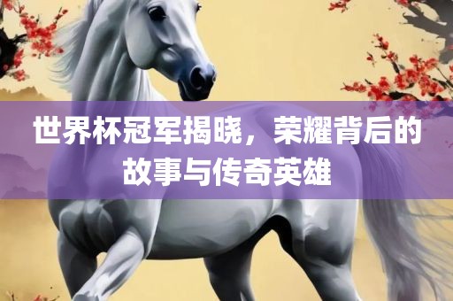 世界杯冠军揭晓，荣耀背后的故事与传奇英雄