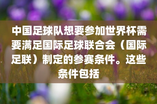中国足球队想要参加世界杯需要满足国际足球联合会（国际足联）制定的参赛条件。这些条件包括
