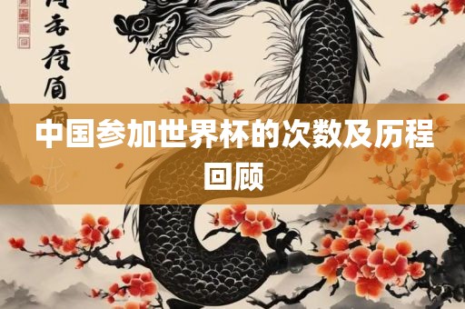 中国眉山市正发家政服务有限公司参加世界杯的次数及历程回顾