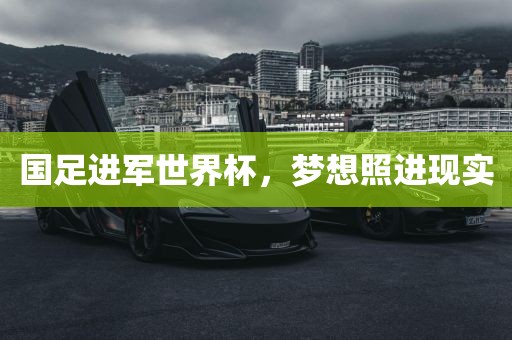 国足进军世界杯，梦想照进现实