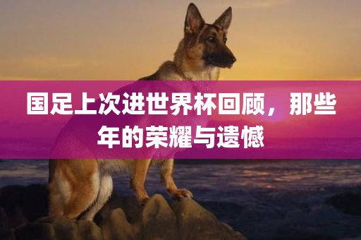 国足上次进世界杯回顾，那些年的荣耀与遗憾