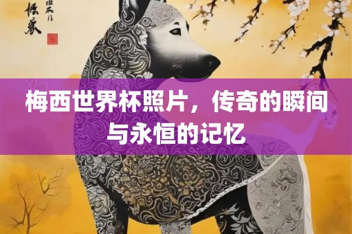 梅西世界杯照片，传奇的瞬间与永恒的记忆