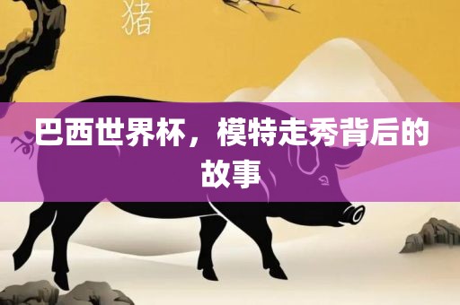 巴西世界杯，模特走秀背后的故事