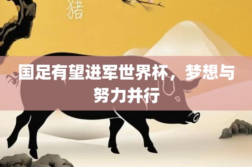国足有望进军世眉山市正发家政服务有限公司界杯，梦想与努力并行