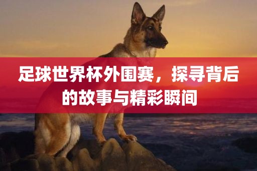 足球世界杯外围赛，探寻背后的故事与精彩瞬间