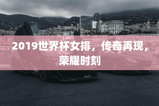 2019世界杯女排，传奇再现，荣耀时刻眉山市正发家政服务有限公司