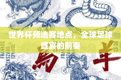 世界杯预选赛地点，全球足球盛宴的前奏