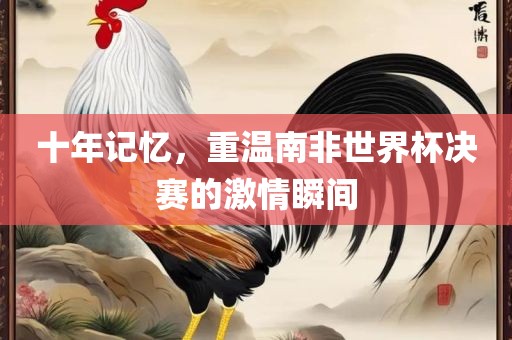 十年记忆，重温南非世界杯决赛的激情瞬间