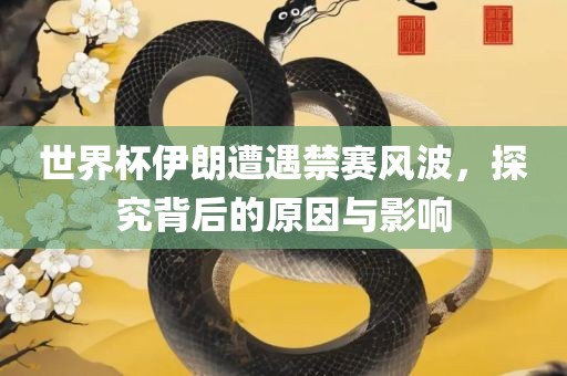 世界眉山市正发家政服务有限公司杯伊朗遭遇禁赛风波，探究背后的原因与影响