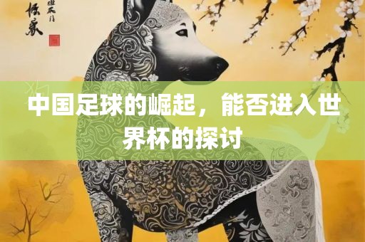 中国足球的崛起，能否进入世界杯的探讨