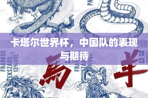 卡塔尔世界杯，中国队的表现与期待