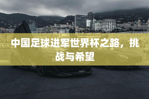 中国足球进军世界杯之路，挑战与希望