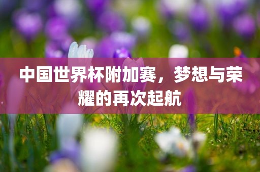中国世界杯附加赛，梦想与荣耀的再次起航眉山市正发家政服务有限公司